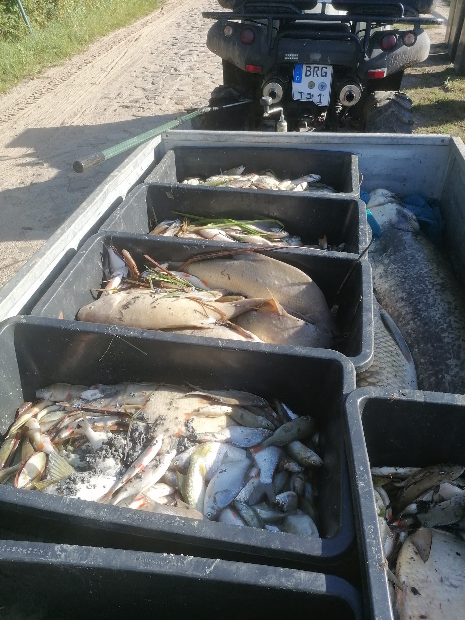 Sauerstoffmangel 2023